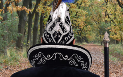 Uitstel bekendmaking nieuwe hoogheden